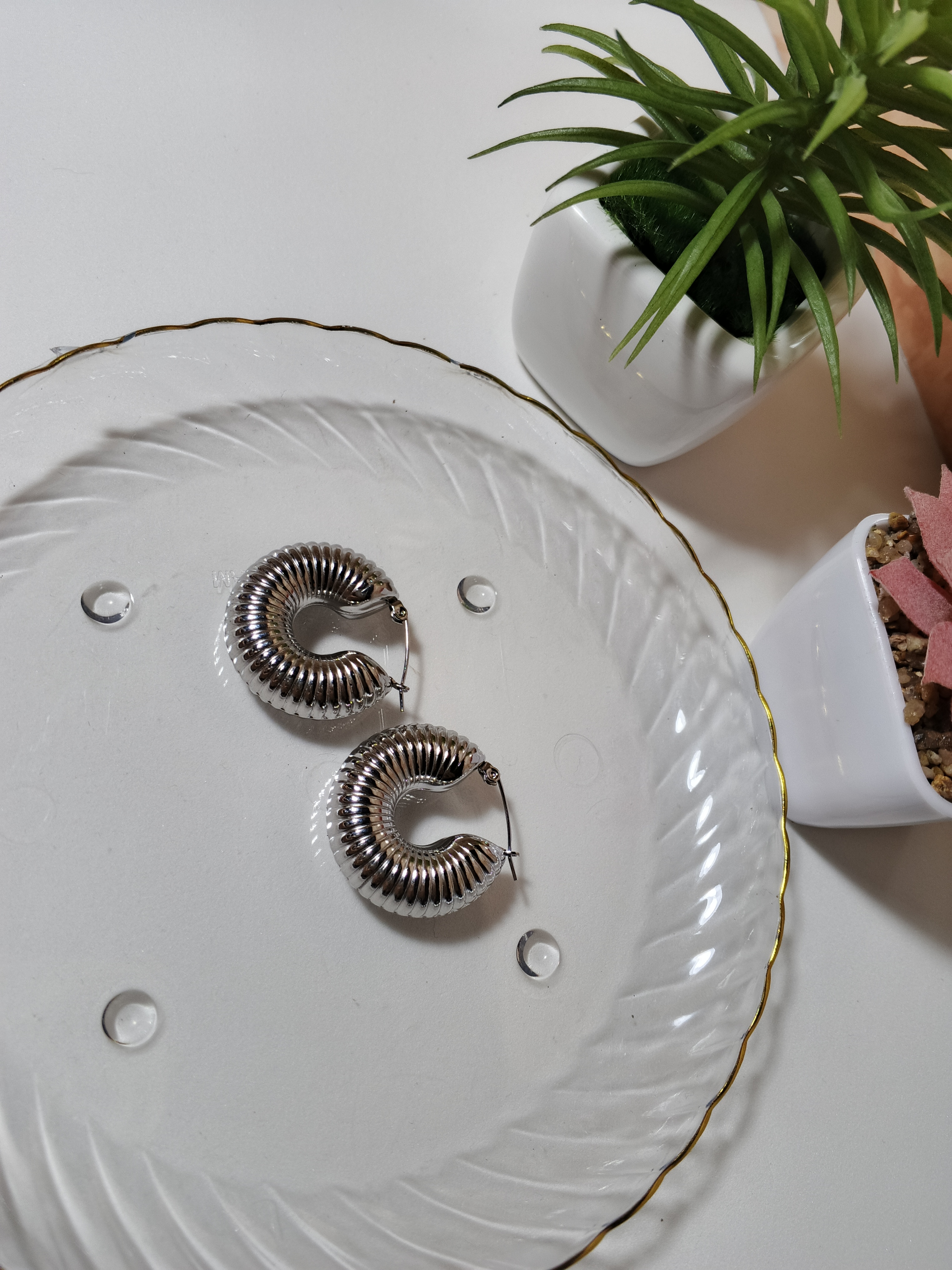 Caracol Plata