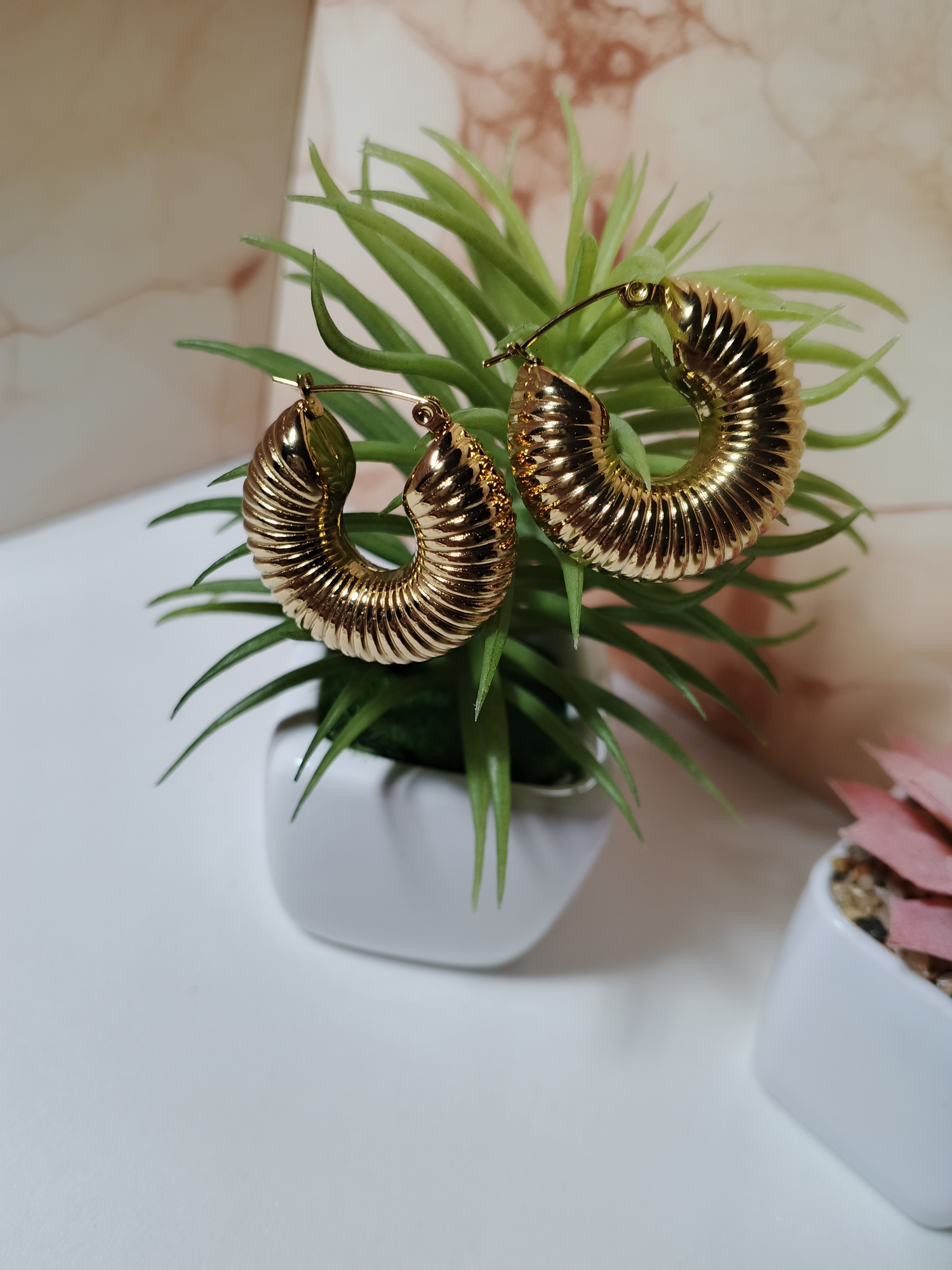 Caracol Oro